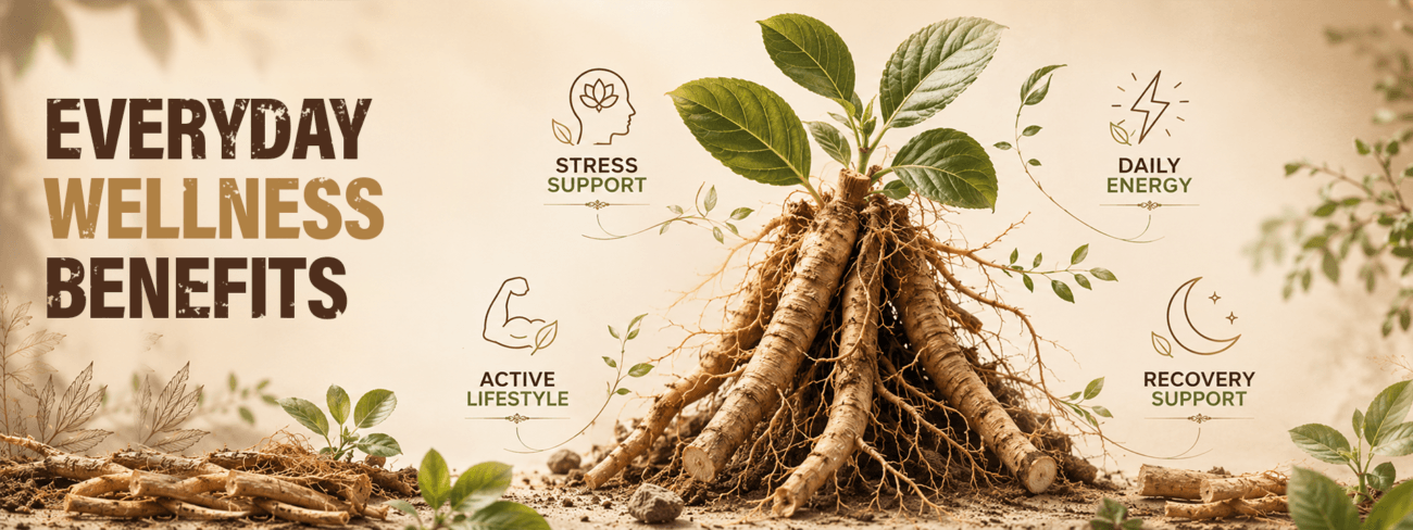 Ashwagandha description banner one
