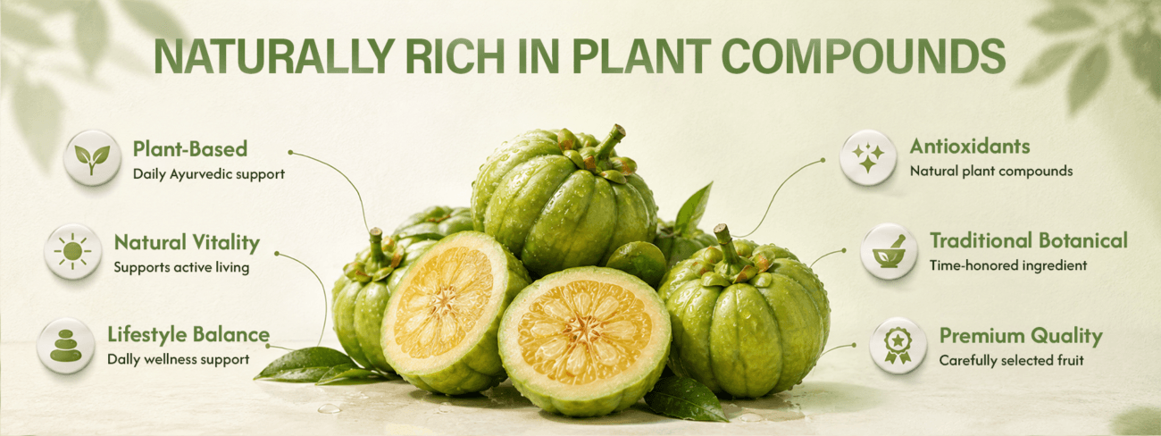 garcinia Rich in Plant