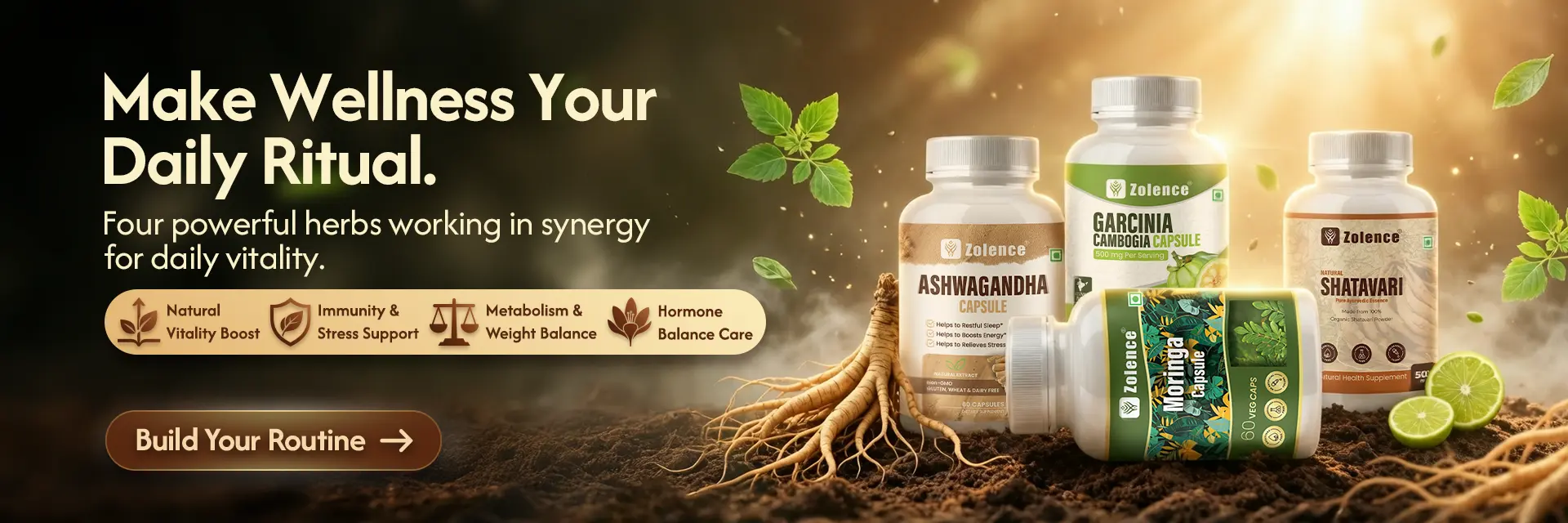 Ashwagandha, Moringa, garcinia, shatavari banner