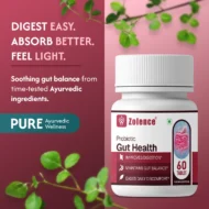 Gut Health Tablets | Gut Health Supplements- Support Your Gut, Support Your Health (60 Capsule) - Image 9