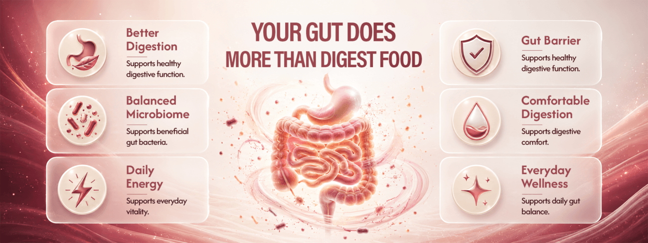 Your gut does more than digest food