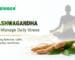 Ashwagandha Helps Manage Daily Stress
