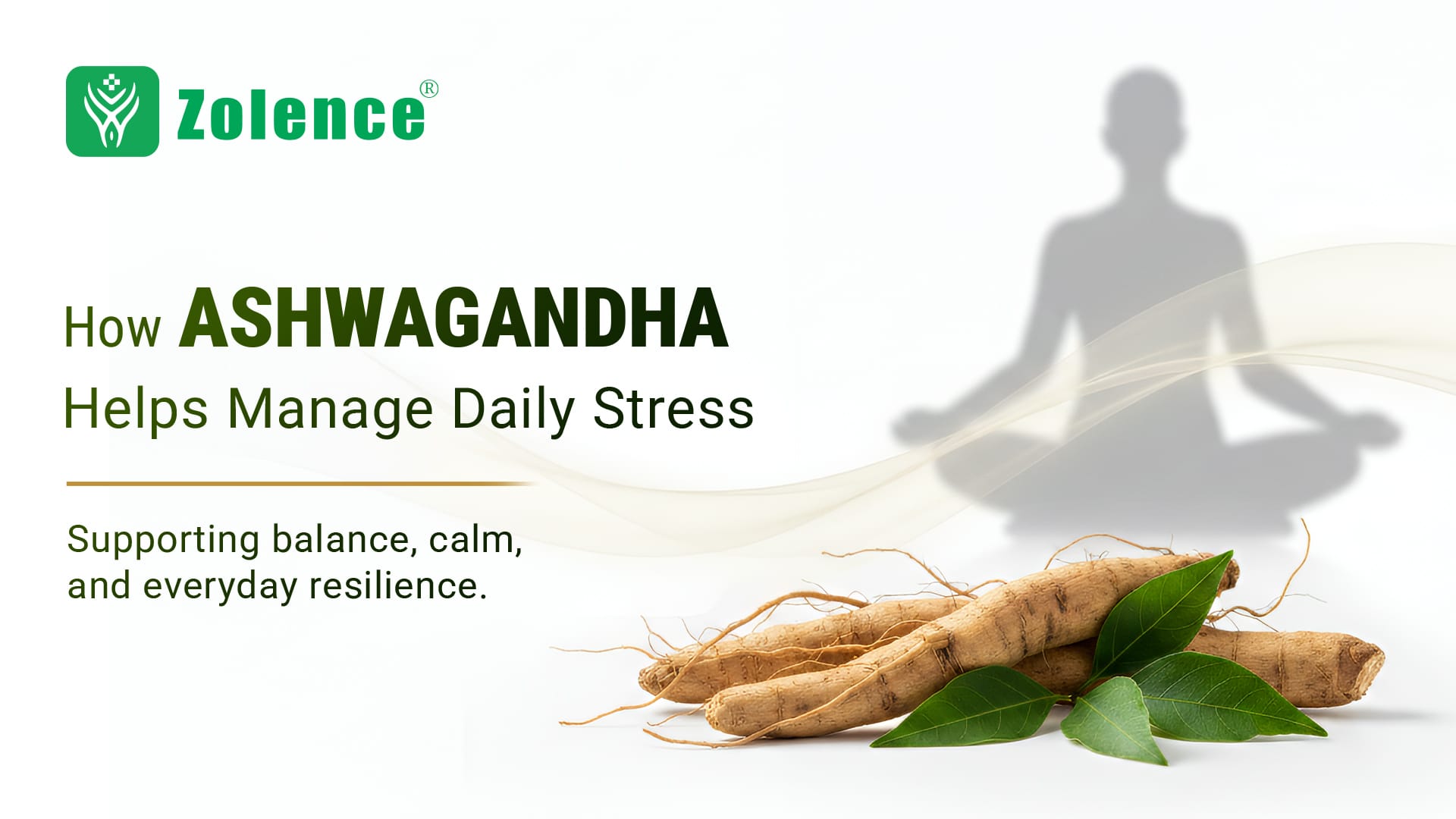Ashwagandha Helps Manage Daily Stress