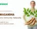 Ashwagandha Supports Immunity Naturally