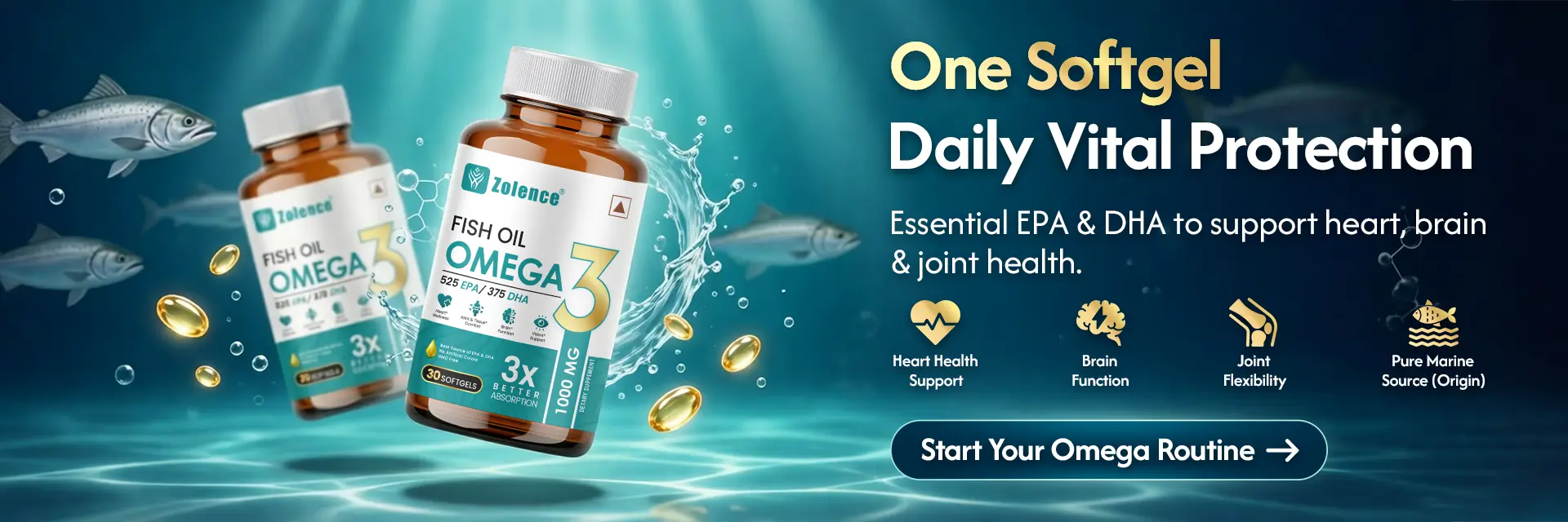 Omega-3 Banner