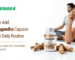 Ashwagandha Capsule to Your Daily Routine