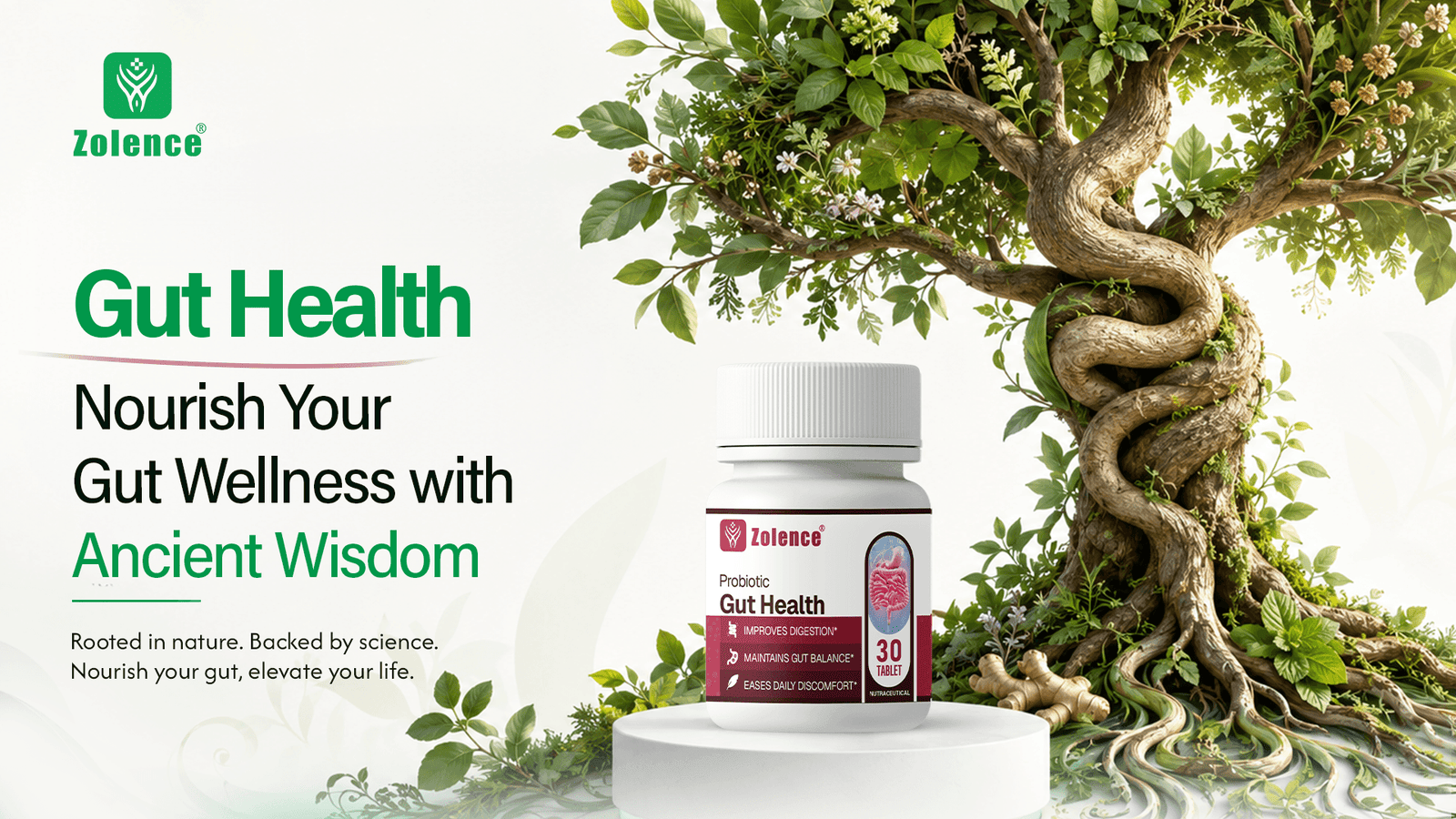 gut health