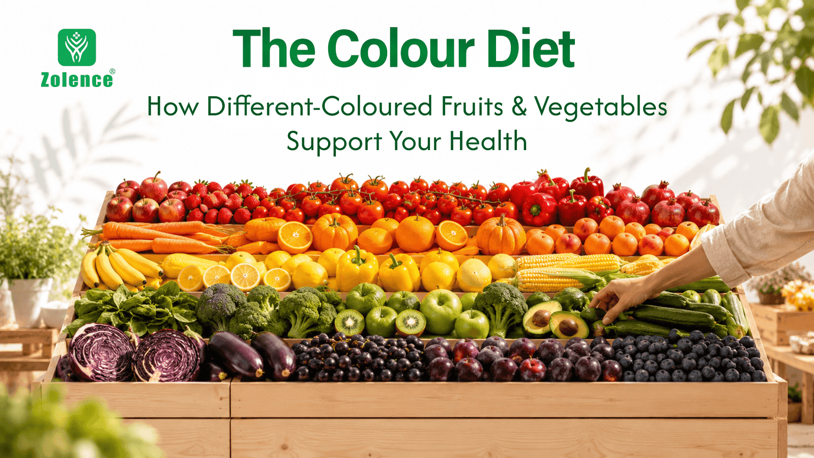 the colour diet